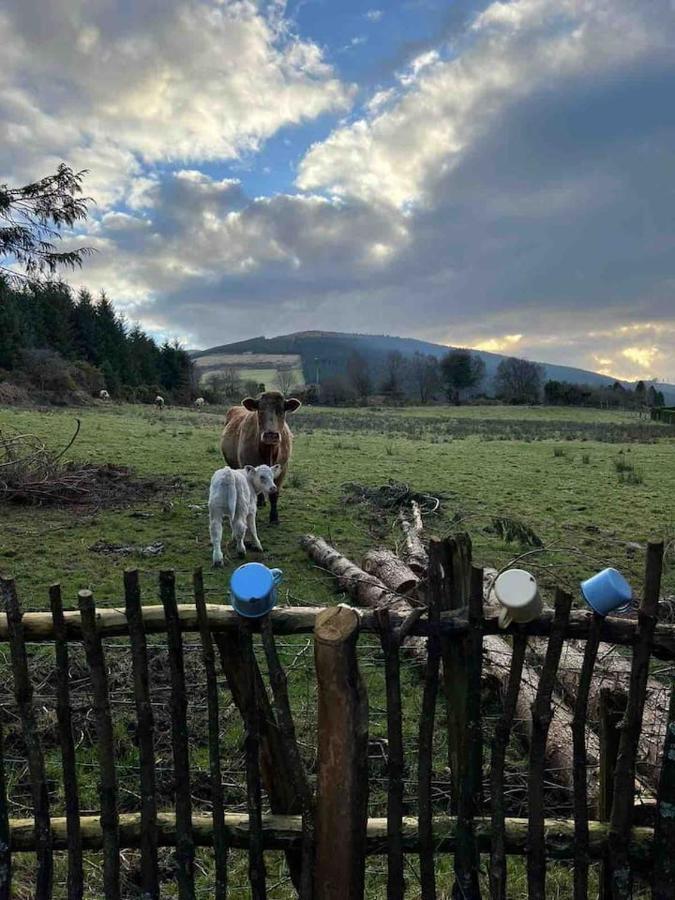 Aughavannagh Yurt Glamping Aughrim Exterior foto